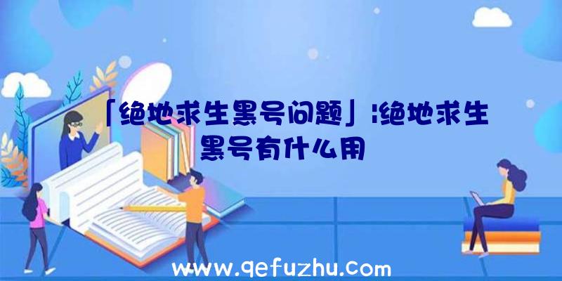 「绝地求生黑号问题」|绝地求生黑号有什么用